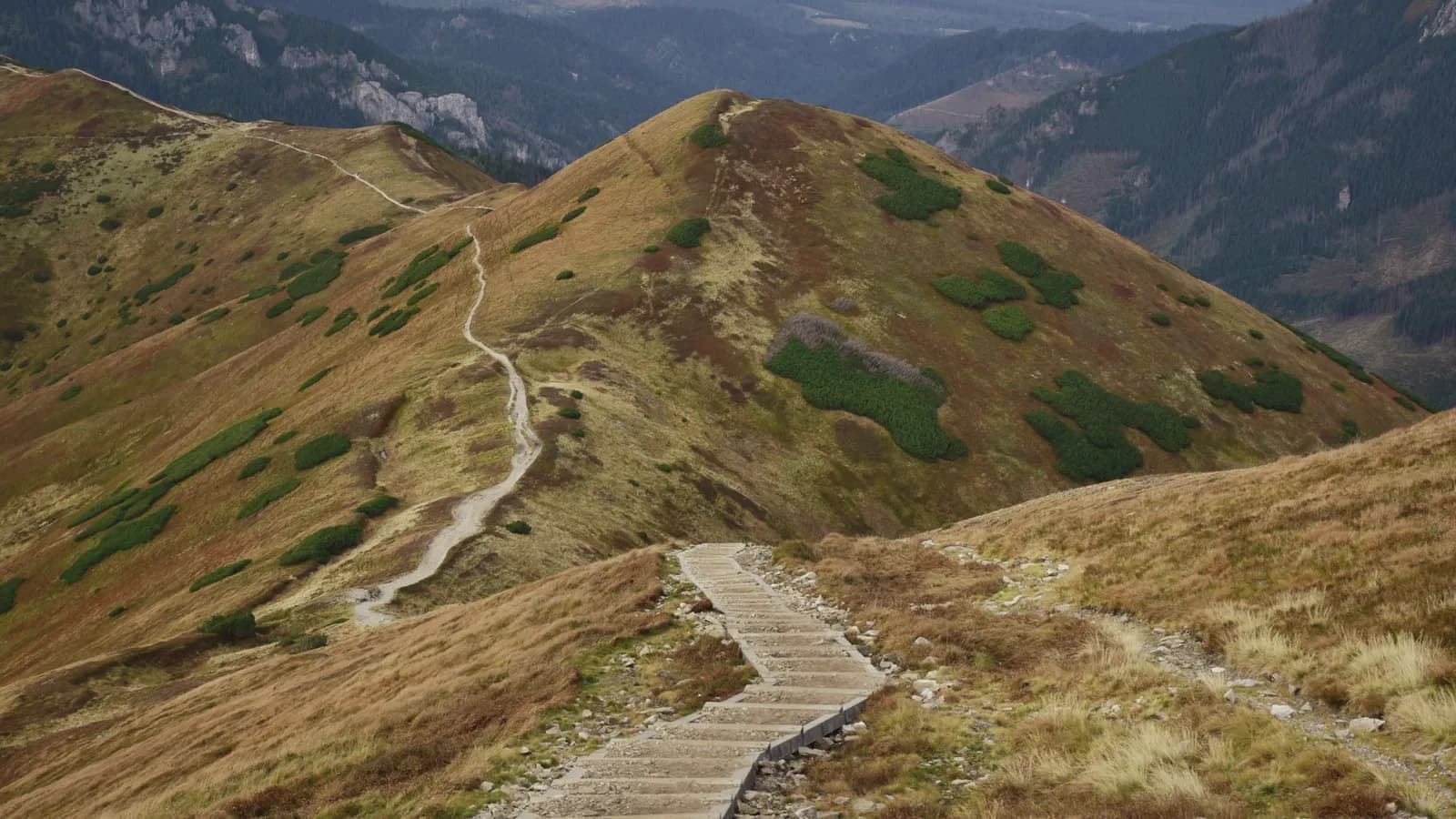 Timber steps climbing a bare ridge in the High Tatras.