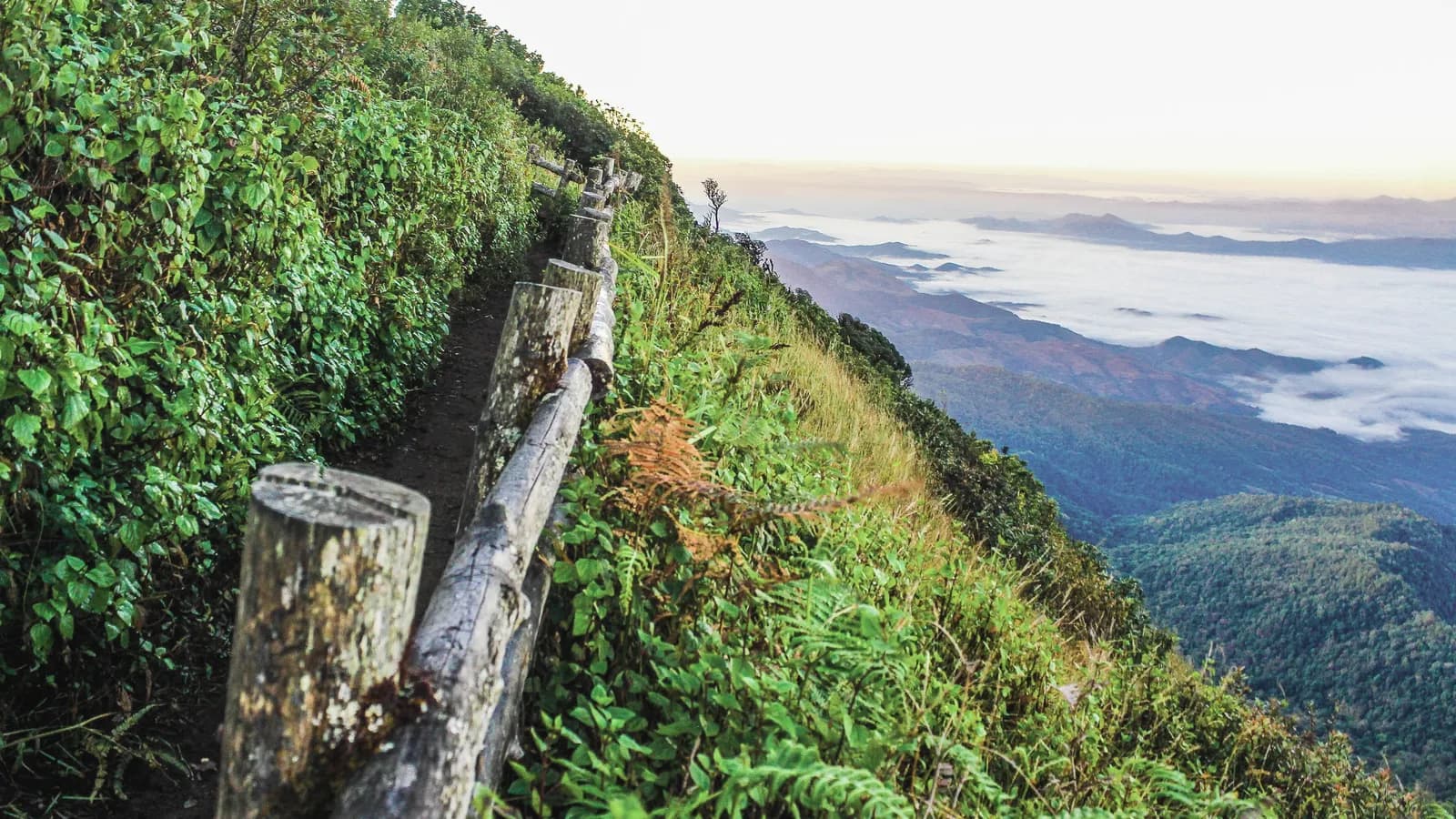 A weathered log fence on a ridge above a sea of cloud.