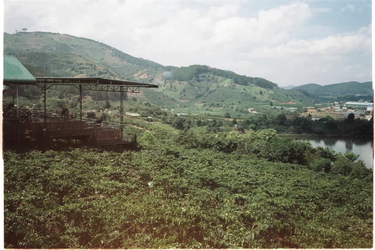 A hillside coffee plantation above a valley, drying structures in the foreground.