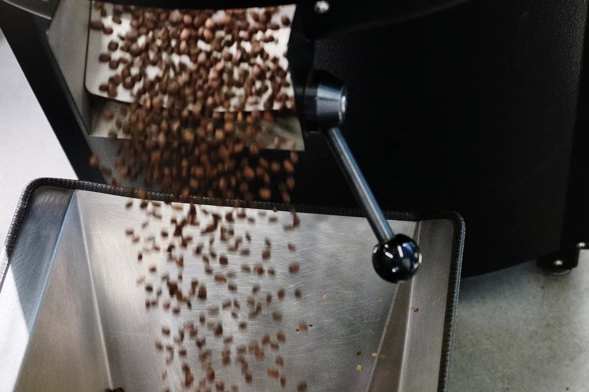 Roasted beans turning in the cooling tray of a drum roaster.