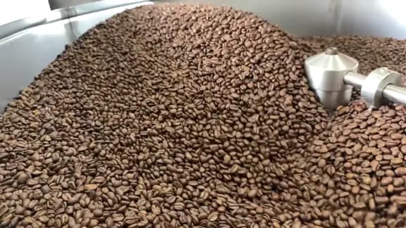 Roasted coffee beans turning inside the drum of a roasting machine.